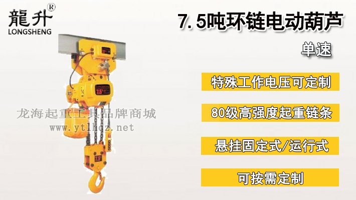 7.5噸環鏈電動葫蘆圖片 7.5噸環鏈電動葫蘆圖片